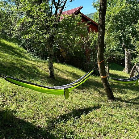 Вилла Casa Lupilor Transfagarasan Capatineni-Ungureni Экстерьер фото