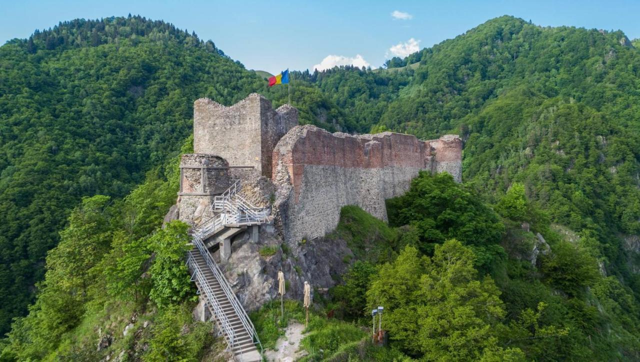 Вилла Casa Lupilor Transfagarasan Capatineni-Ungureni Экстерьер фото
