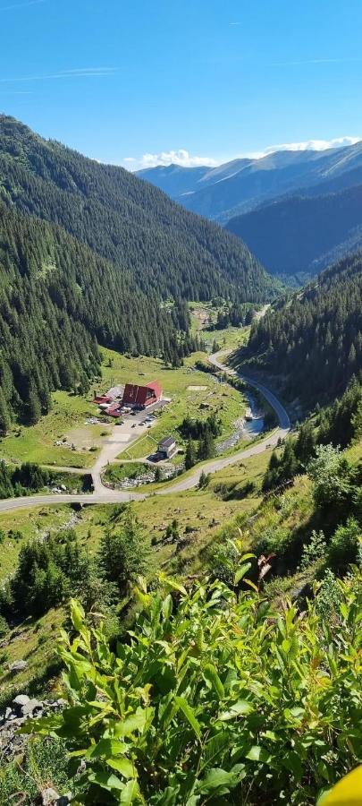 Вилла Casa Lupilor Transfagarasan Capatineni-Ungureni Экстерьер фото