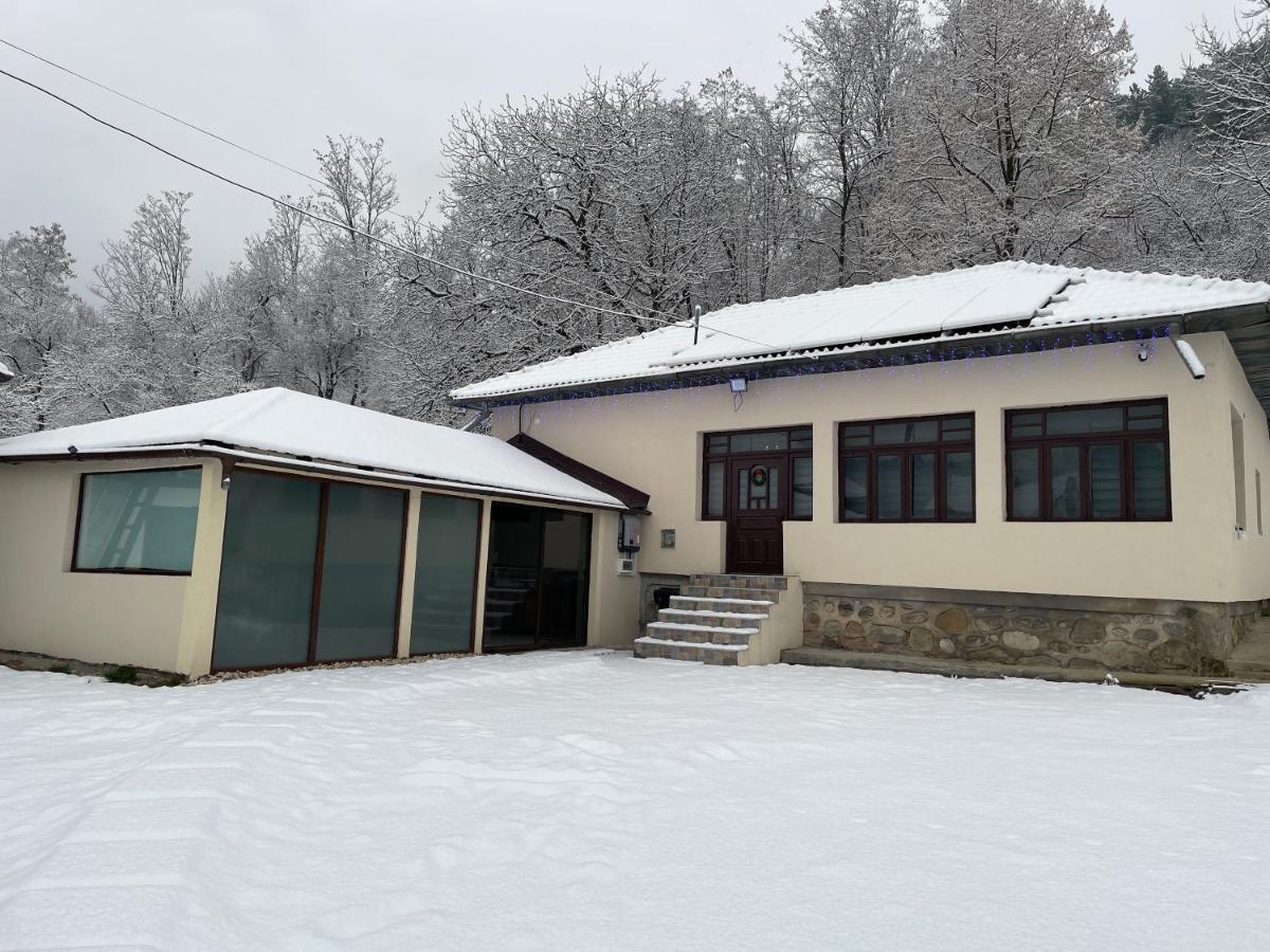 Вилла Casa Lupilor Transfagarasan Capatineni-Ungureni Экстерьер фото