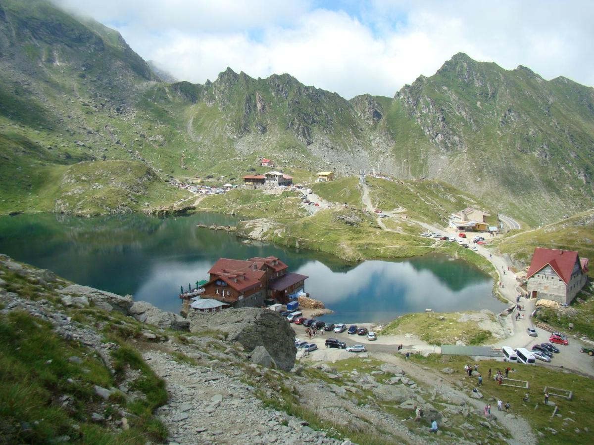 Вилла Casa Lupilor Transfagarasan Capatineni-Ungureni Экстерьер фото
