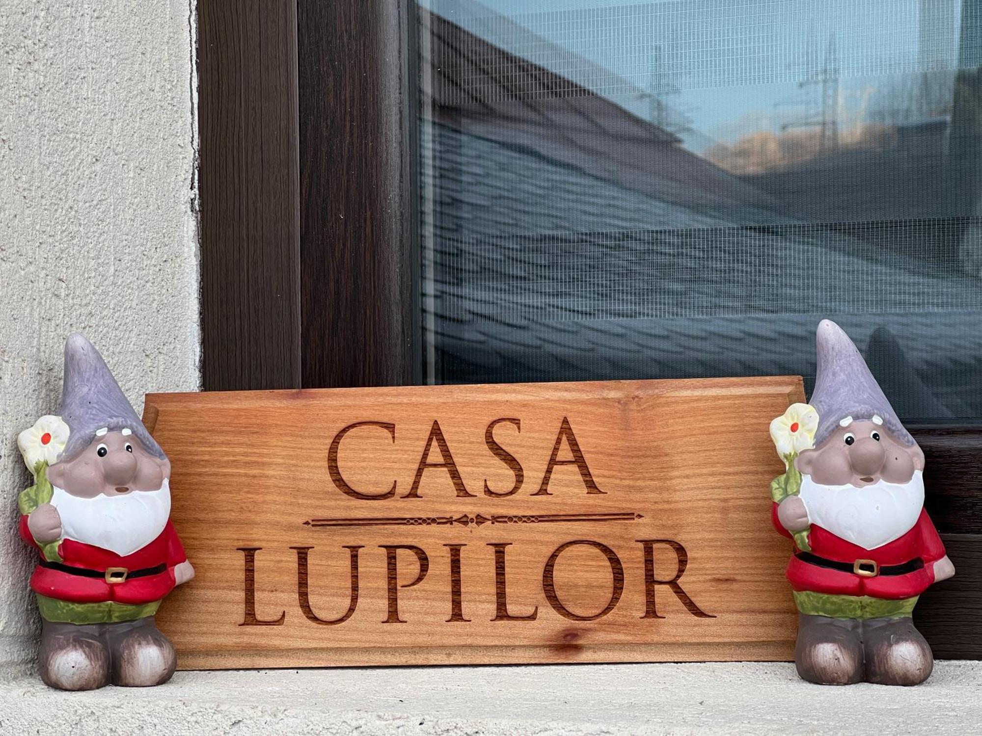 Вилла Casa Lupilor Transfagarasan Capatineni-Ungureni Экстерьер фото