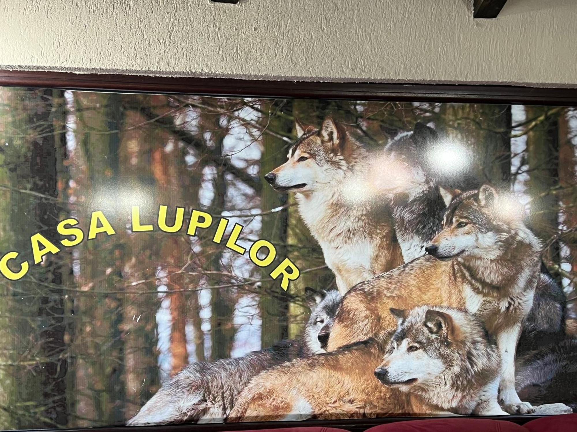 Вилла Casa Lupilor Transfagarasan Capatineni-Ungureni Экстерьер фото