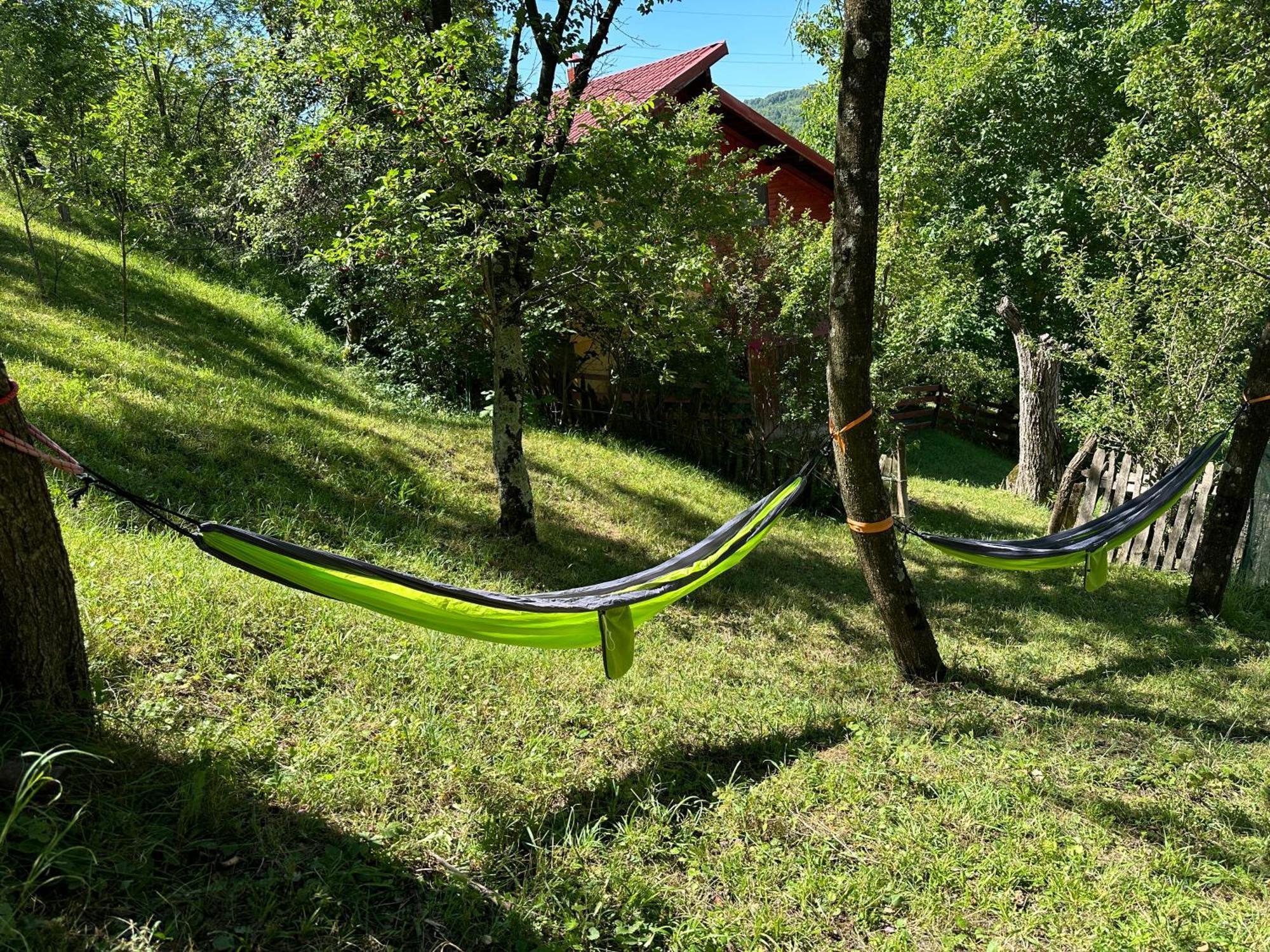 Вилла Casa Lupilor Transfagarasan Capatineni-Ungureni Экстерьер фото