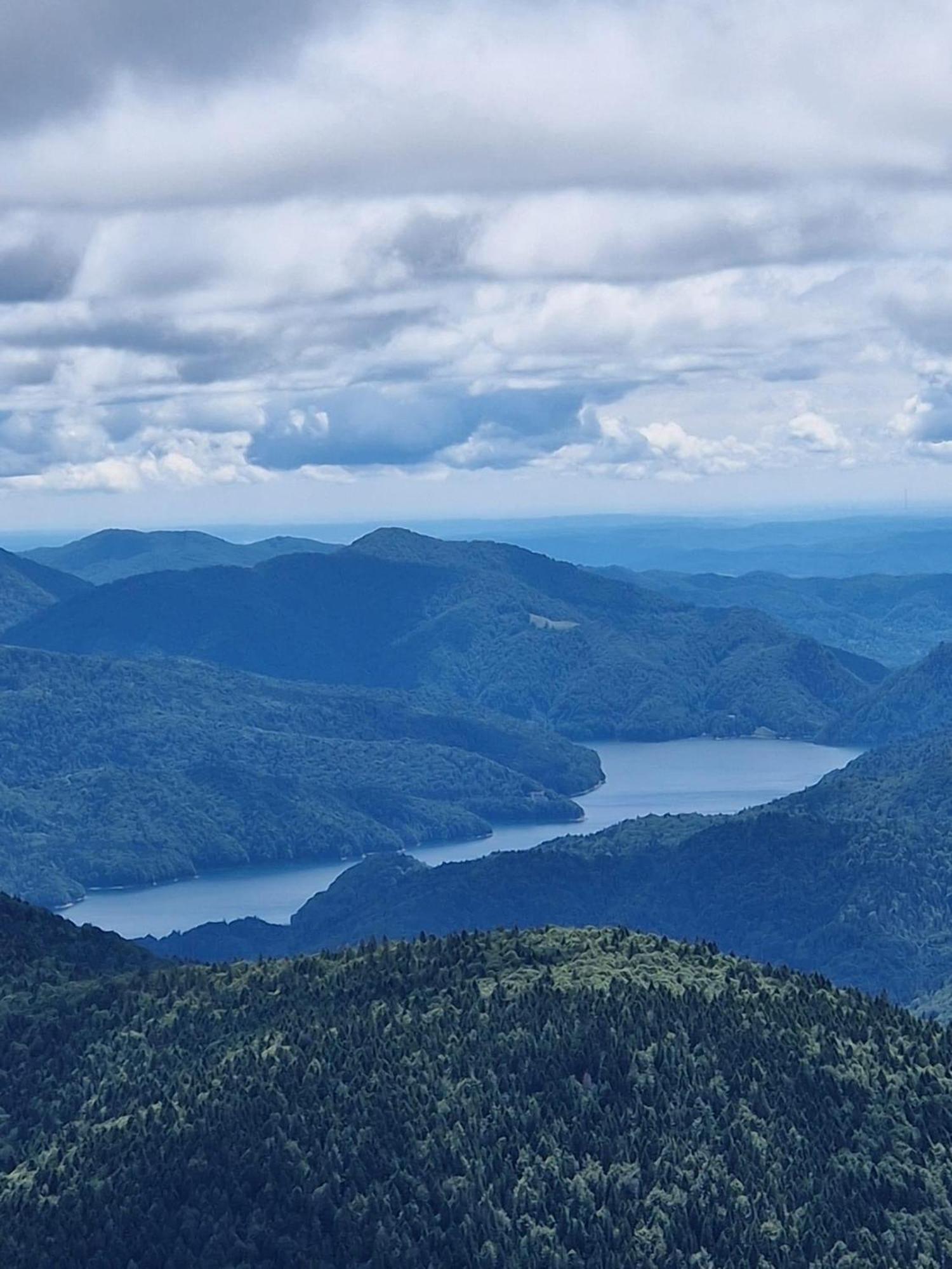 Вилла Casa Lupilor Transfagarasan Capatineni-Ungureni Экстерьер фото